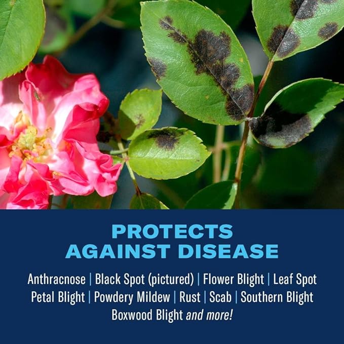 (B000NCUW6M) - BioAdvanced Disease Control for Roses, Flowers and Shrubs, Concentrate, 32 oz